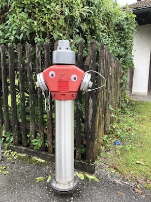A fire hydrant with a silver metallic body and a red top, decorated with googly eyes, giving it a cartoonish appearance. It is set against a wooden fence with green foliage, on a paved pathway.