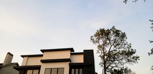 A modern house with a flat roof design is set against a clear blue sky. To the right, a tall tree with sparse leaves stretches upward. The house features clean lines and large windows, with a combination of white and dark gray exterior colors.