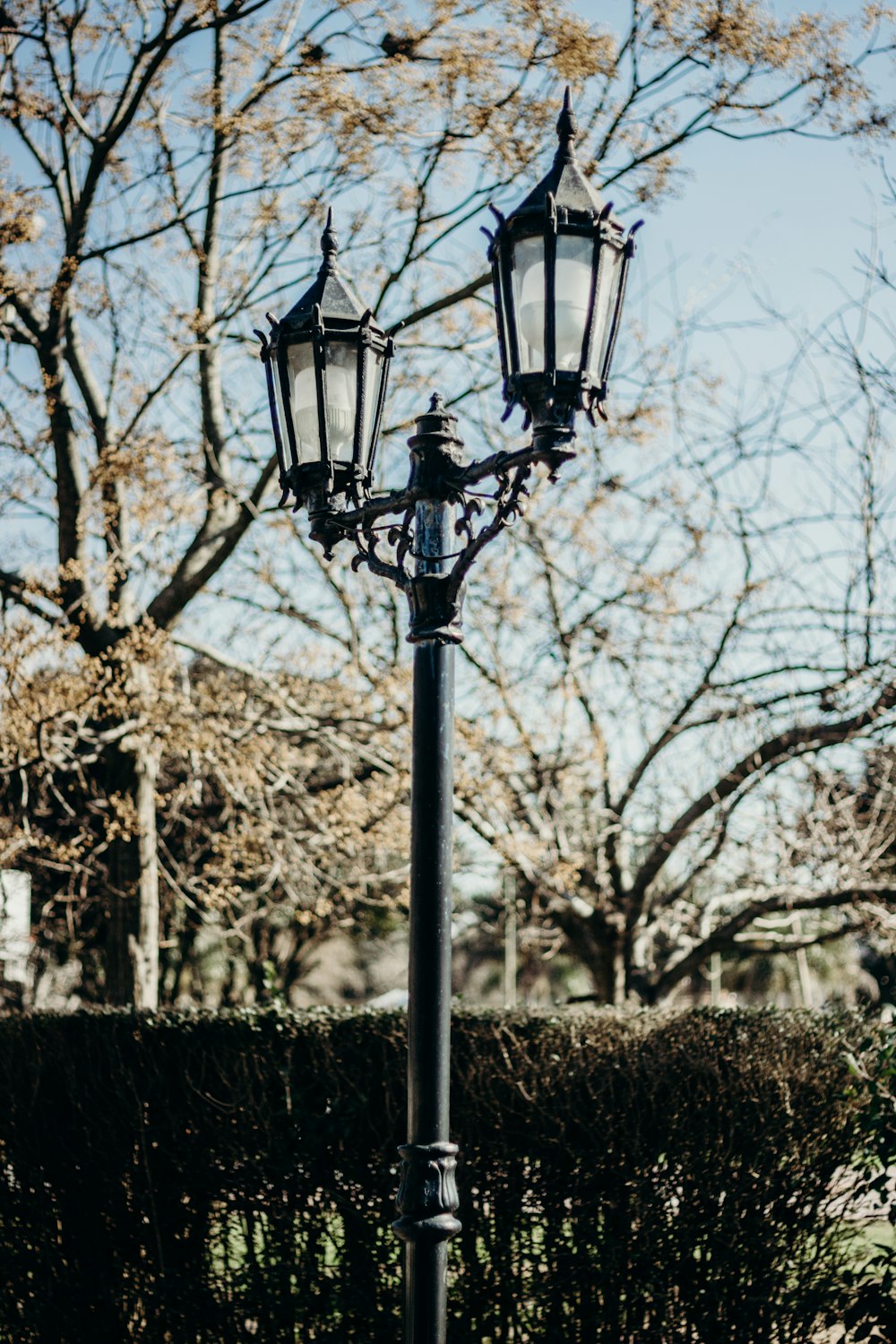 black street light near trees during daytime