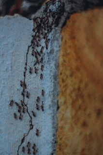 brown and black abstract painting