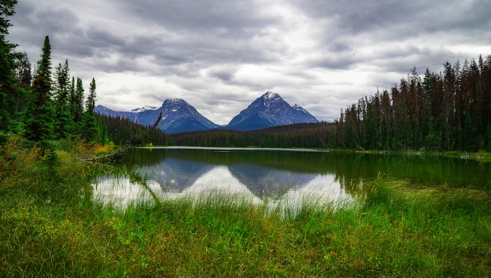 green trees near lake and mountain under white clouds during daytime