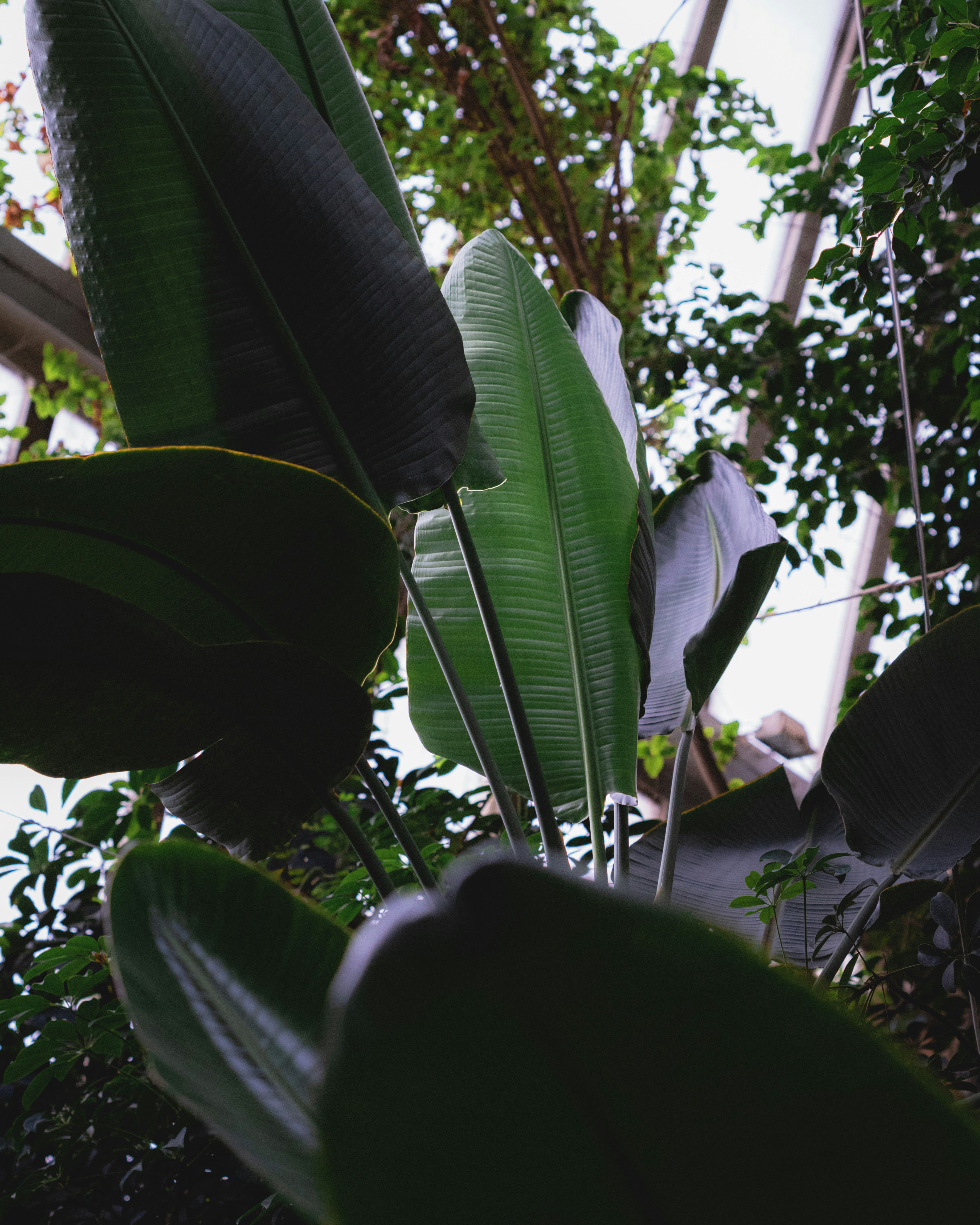 Photo by hunterrtomi