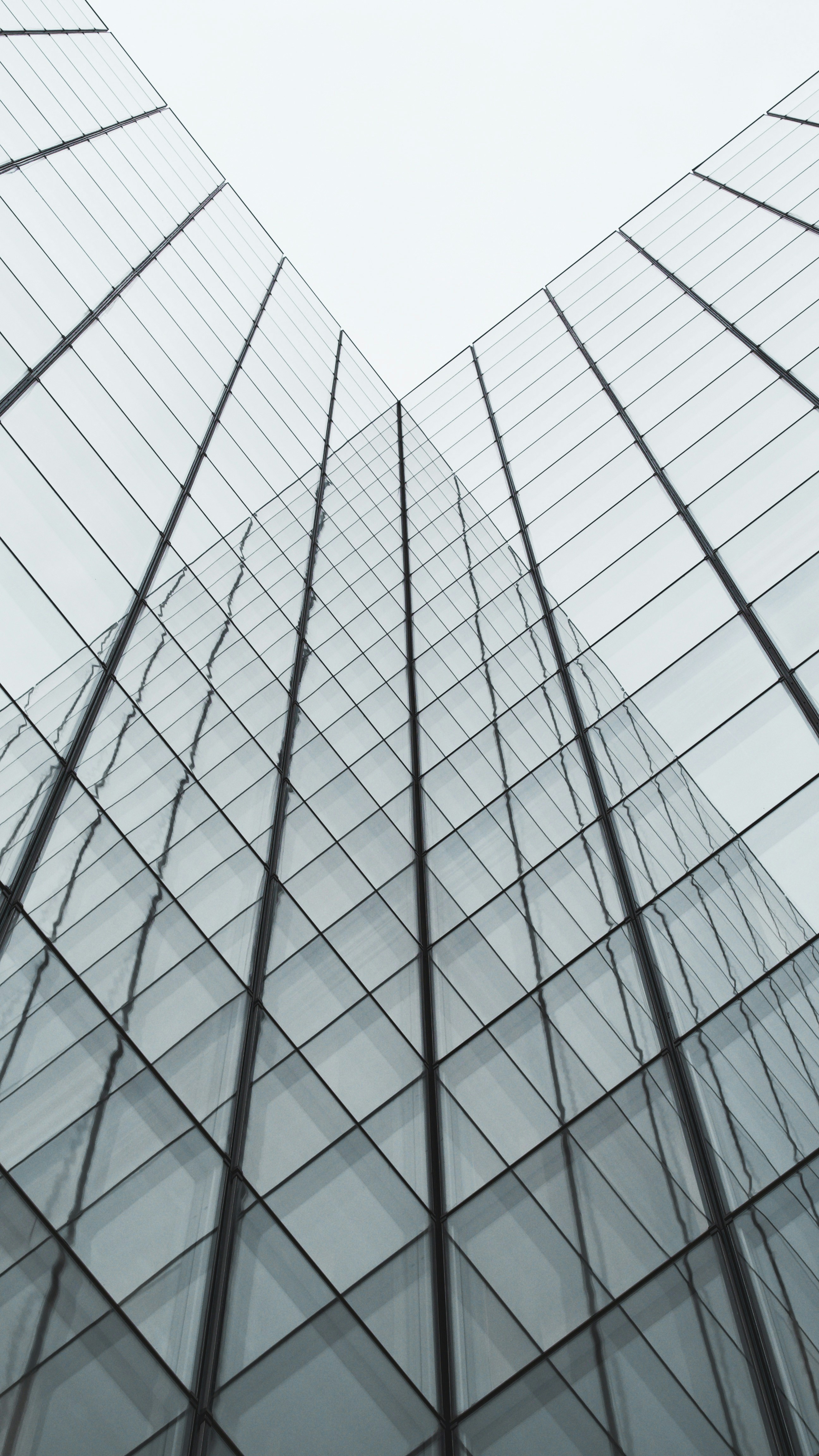 The Myth of the Fixed Self: Why You're Allowed to Change