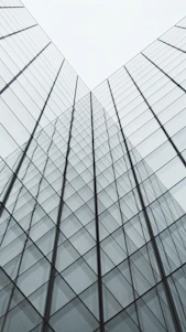 white and black glass building