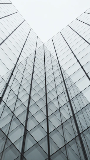 white and black glass building