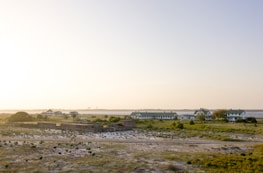 A serene landscape of Neuland, highlighting the local community and environment.
