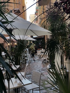 A picturesque outdoor café setting with white tables and chairs arranged along a narrow cobblestone path. Lush green palm leaves frame the scene, and large white umbrellas provide shade. The alley is lined with old buildings, creating an intimate and cozy atmosphere. A few small birds are seen on the ground, adding to the peaceful ambiance.