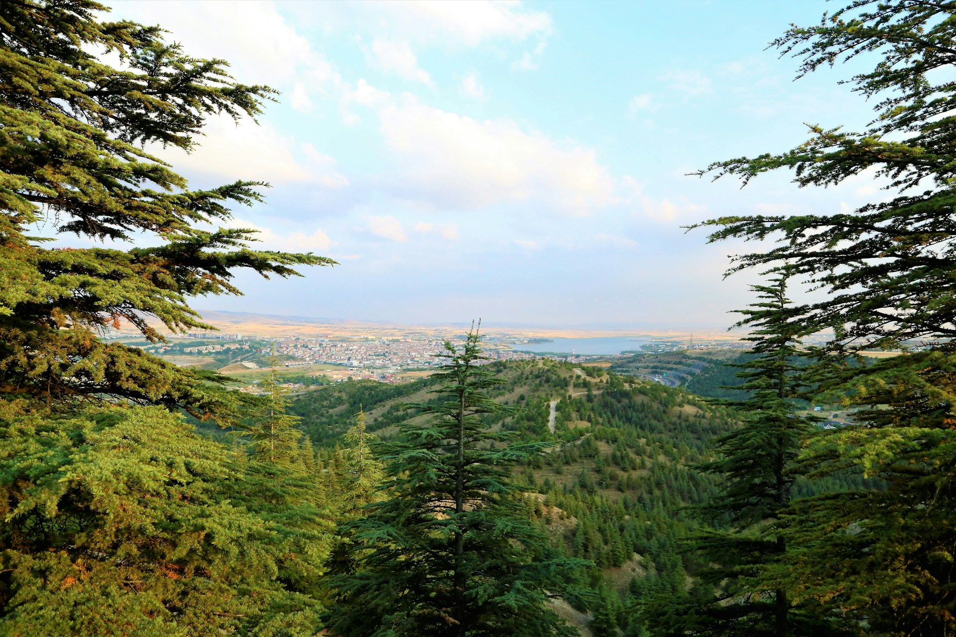 green trees and mountains under white clouds and blue sky during daytime
