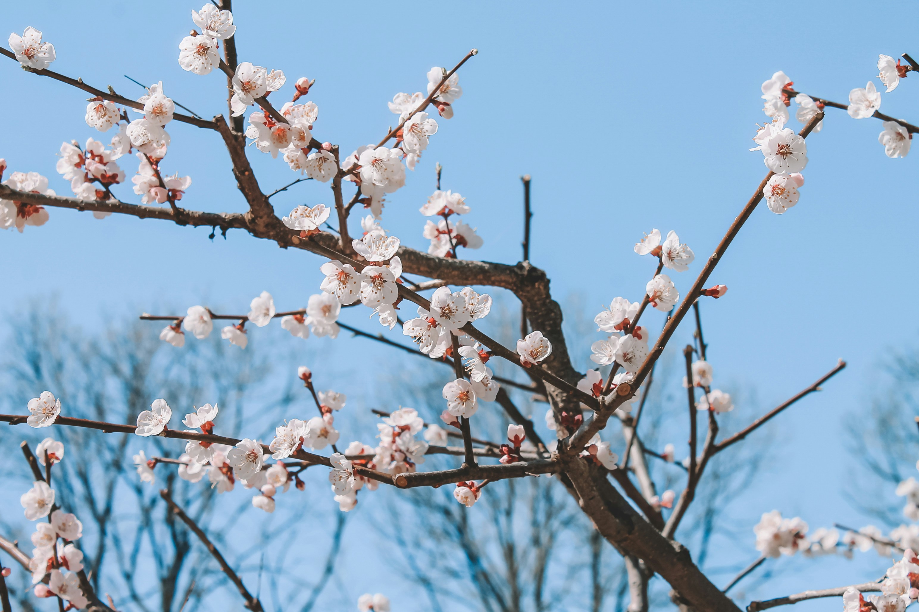 Photo by nastasiakalinina