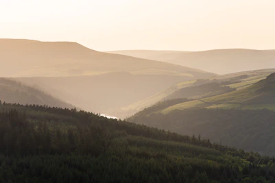 A serene background of rolling hills with musical symbols floating in the sky.