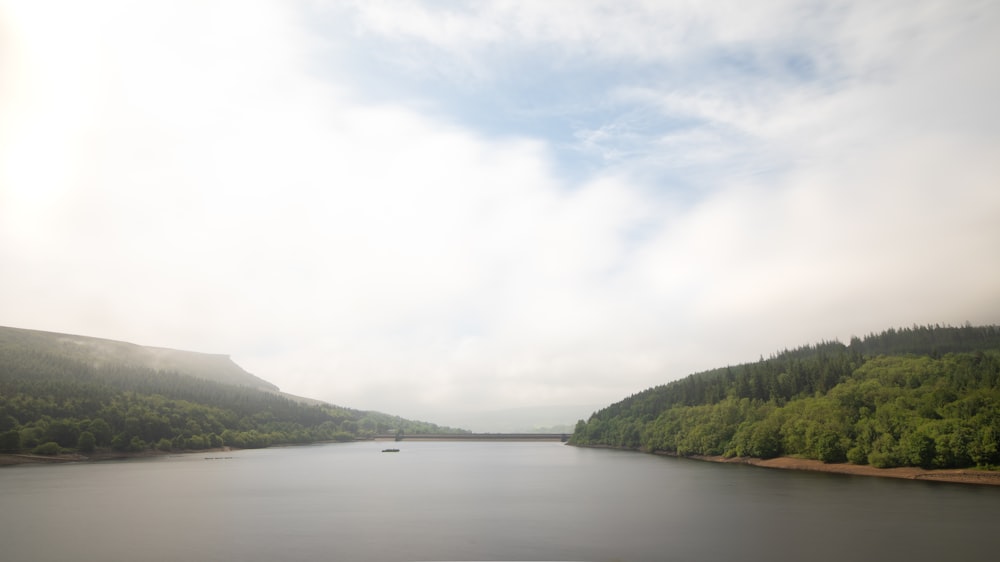 green trees near body of water under white sky during daytime