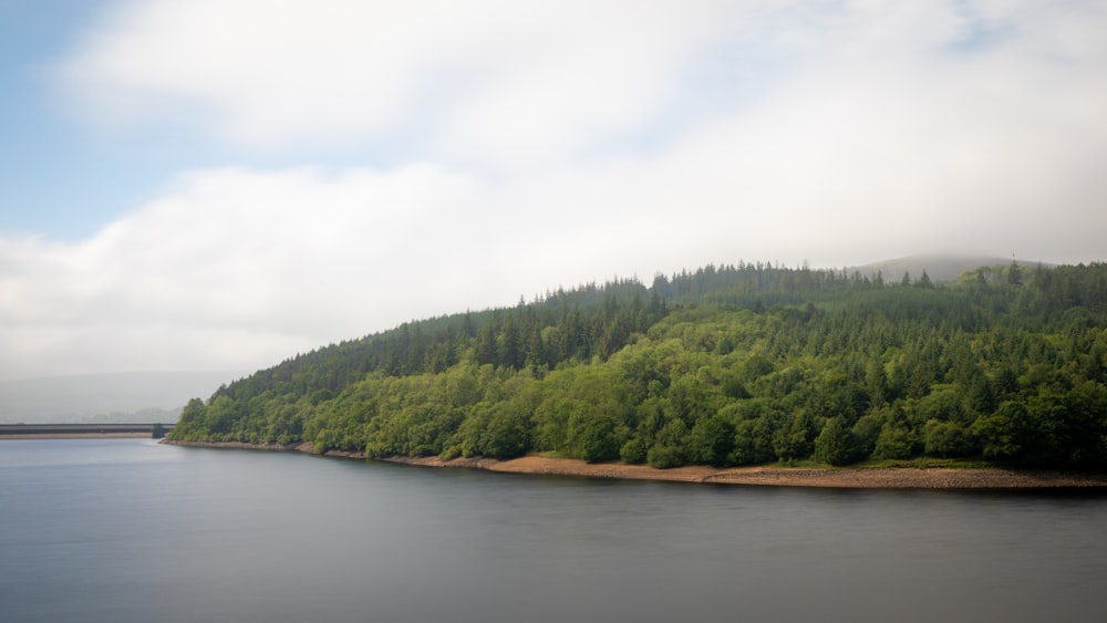 Grüne Bäume am Fluss unter weißem Himmel während des Tages