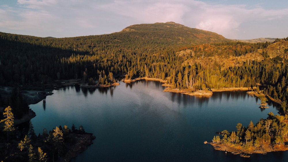 brown mountain near body of water during daytime