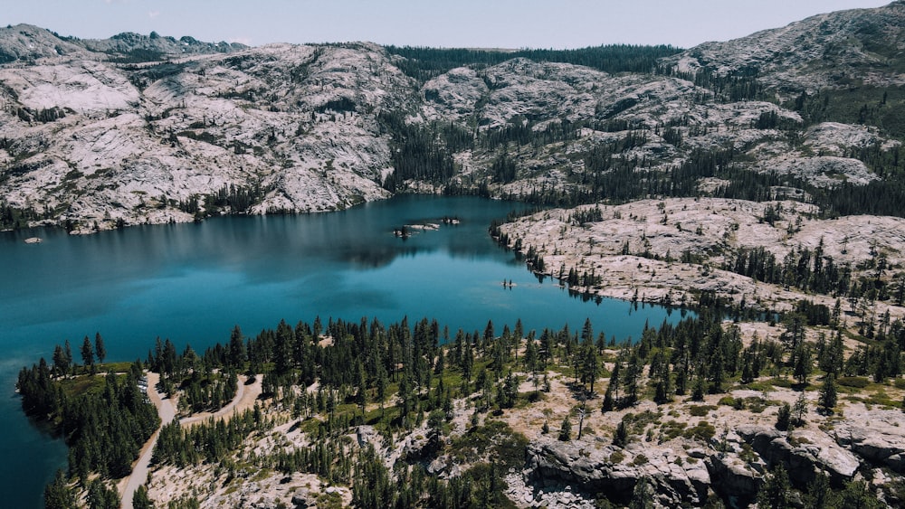 green trees on rocky mountain beside lake during daytime