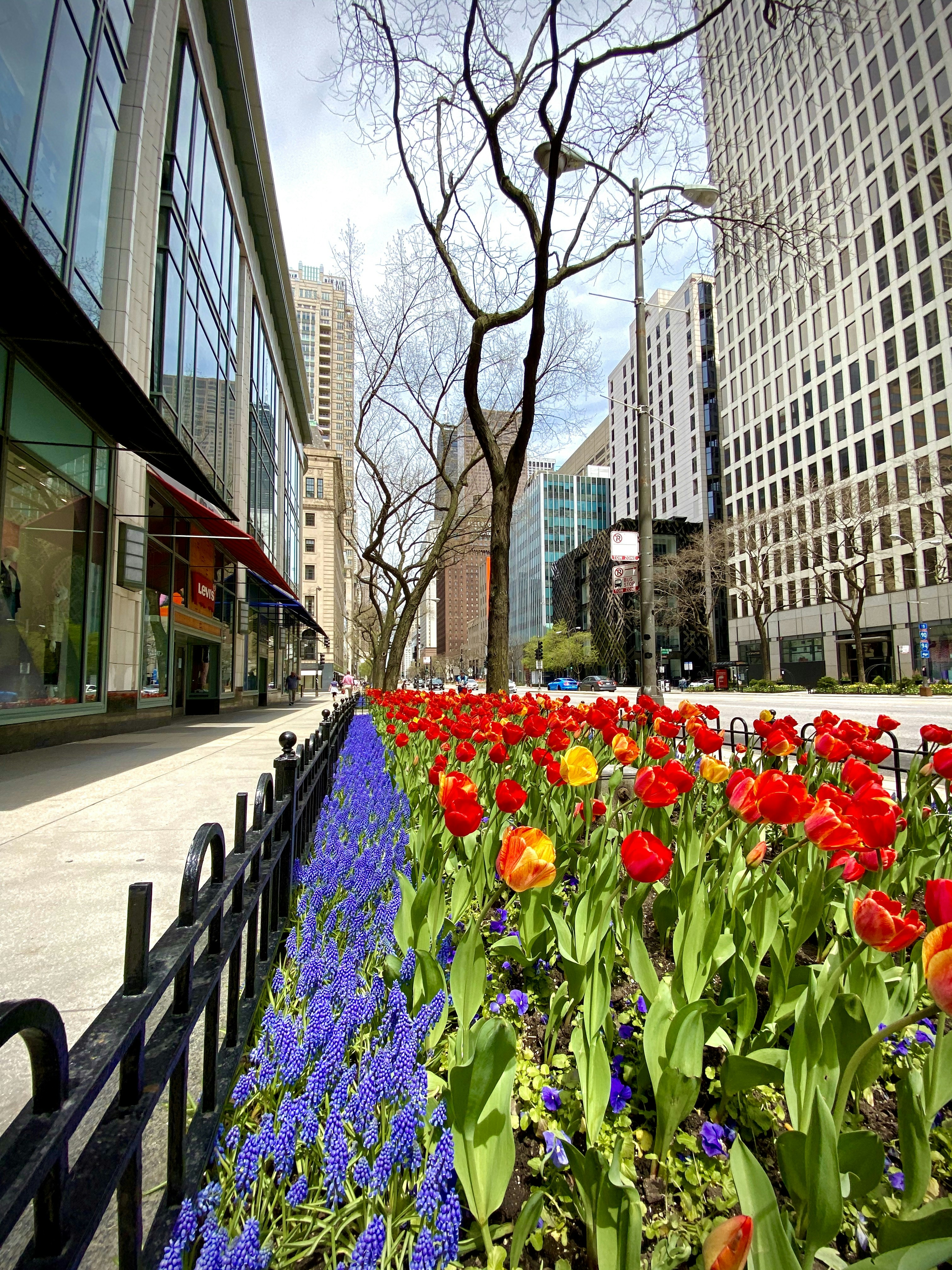 Magnificent Mile