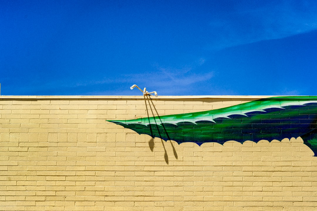 green and white boat on brown concrete wall during daytime