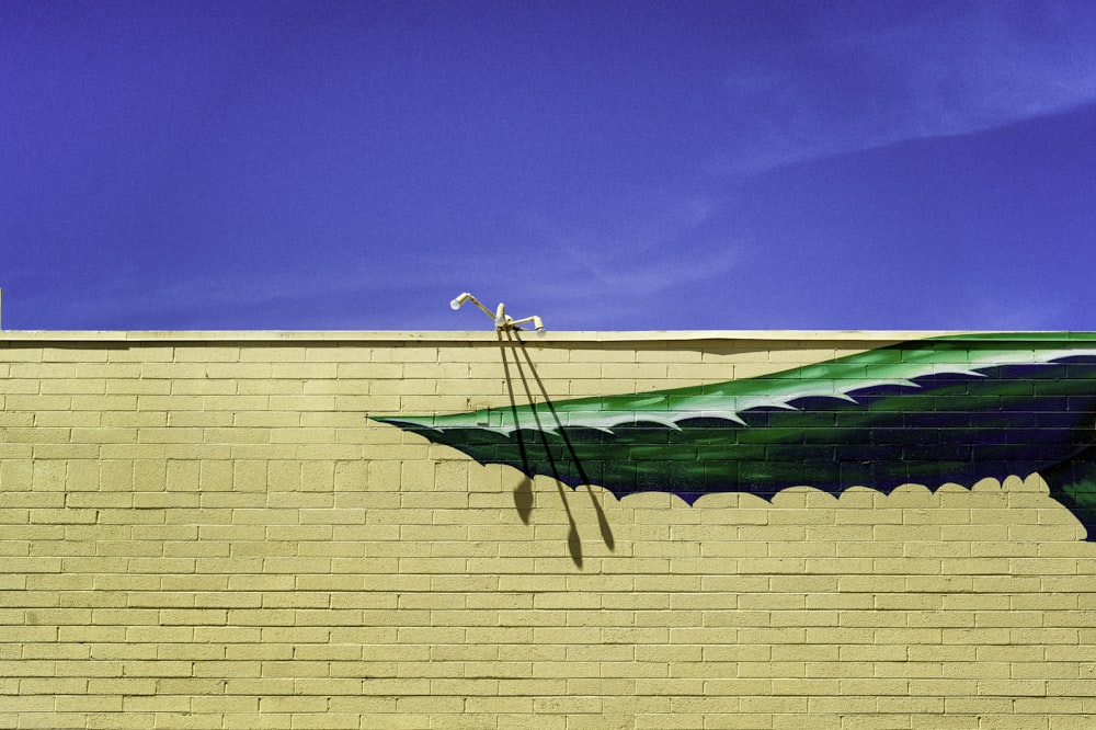 green and white boat on brown concrete wall during daytime