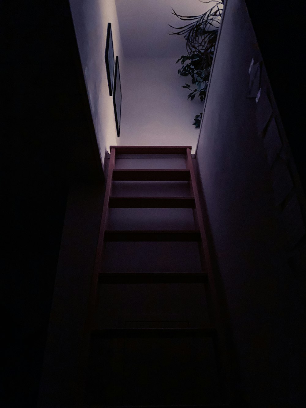 白い壁の茶色の木製階段