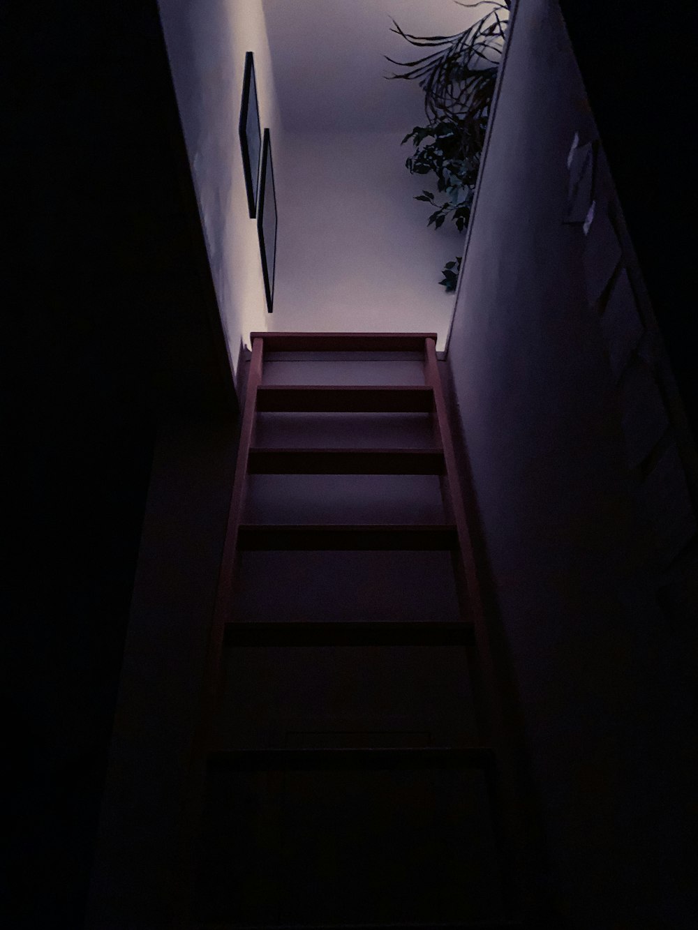 brown wooden staircase with white wall