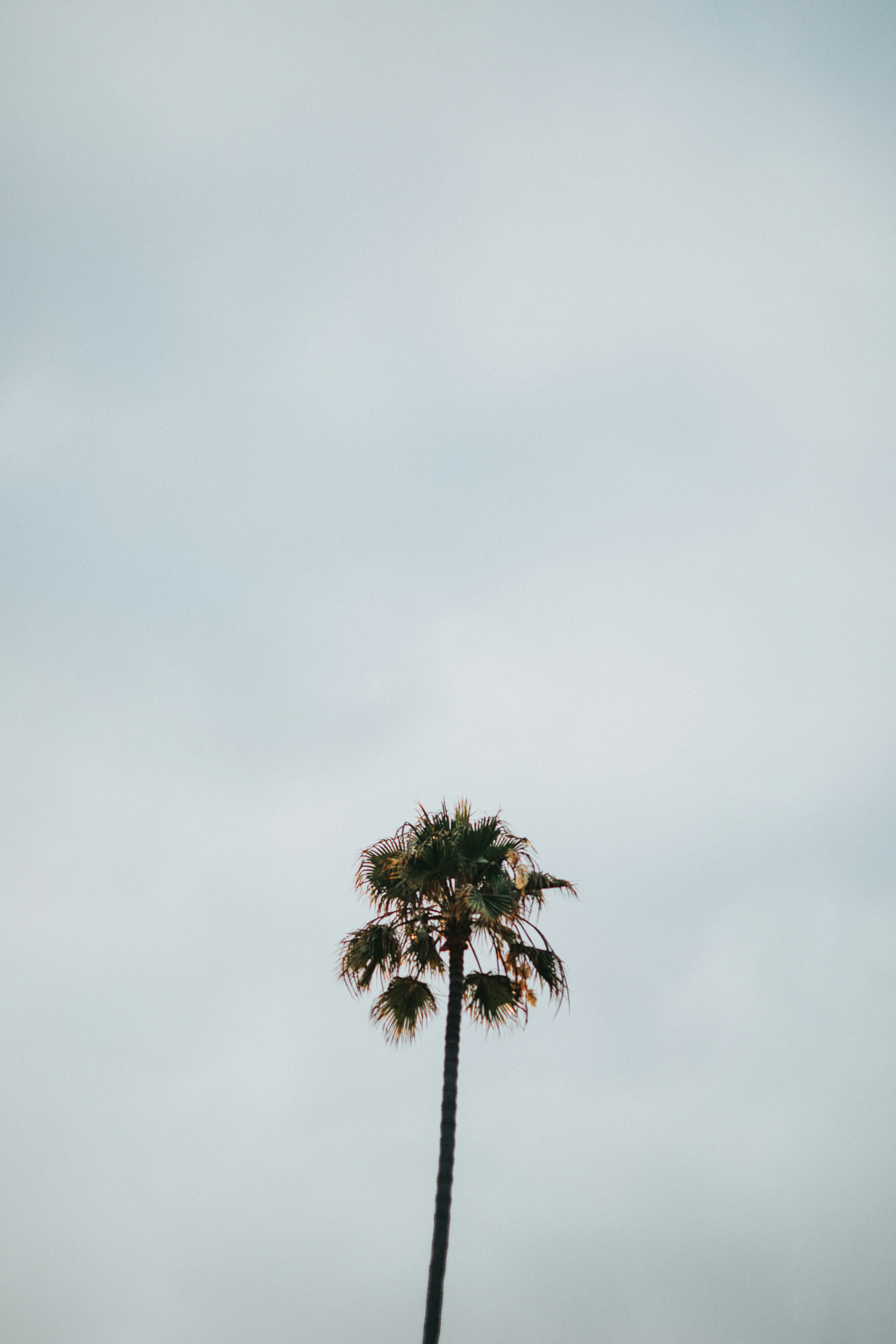 Photo by nate_dumlao