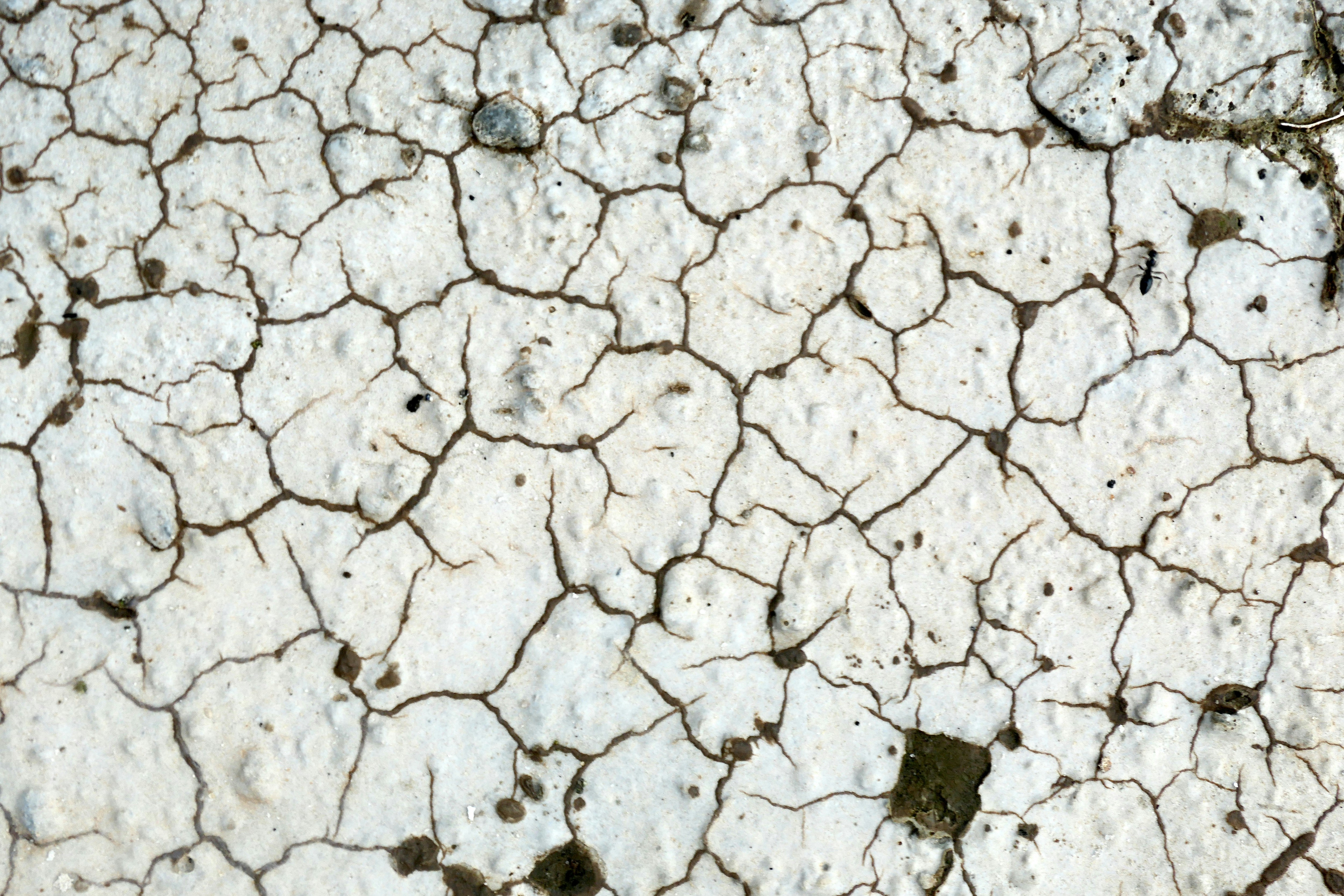 white and gray concrete floor