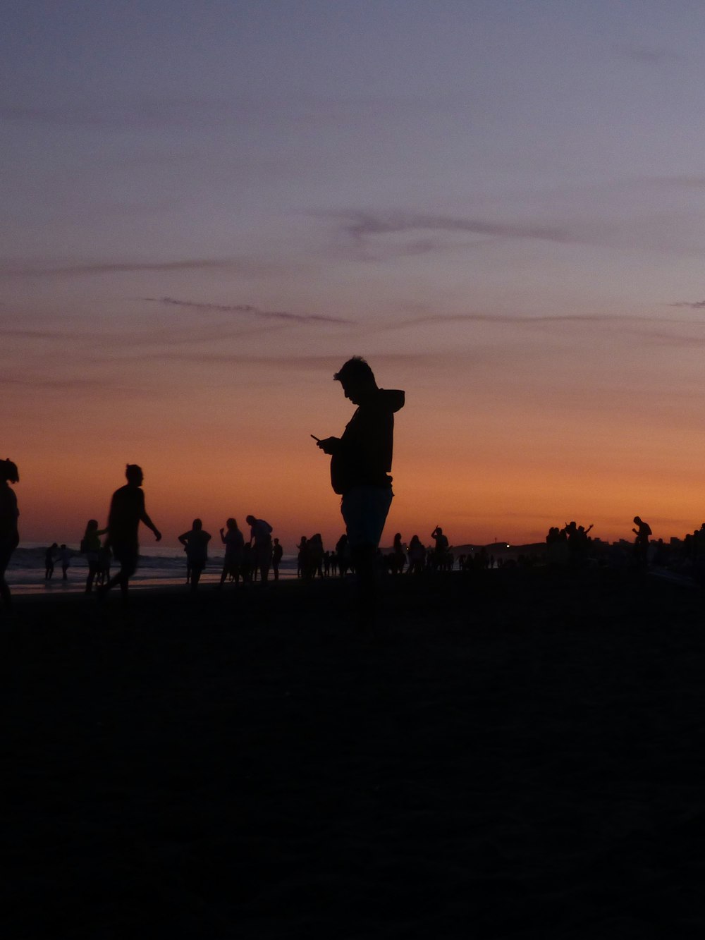 silhouette of people standing on field during sunset