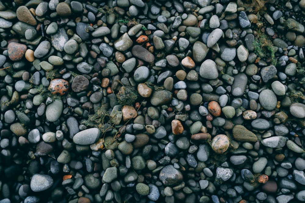 gray and white pebbles on gray rocky ground