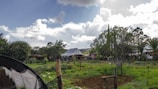 A rural landscape with a mix of greenery and structures. The foreground features a garden with cultivated plants and some wooden posts. In the background, there are trees and small buildings with a rustic appearance. Puffy clouds fill the sky, allowing sunlight to break through, creating a serene atmosphere.