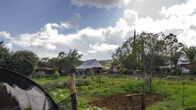 A rural landscape with a mix of greenery and structures. The foreground features a garden with cultivated plants and some wooden posts. In the background, there are trees and small buildings with a rustic appearance. Puffy clouds fill the sky, allowing sunlight to break through, creating a serene atmosphere.
