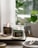 Two lit scented candles in glass jars are placed on a wooden tray. The labels read 'Pine Forest' and 'Firewood Figs'. In the foreground is a speckled ceramic bowl with spent matchsticks. The background shows blurred green potted plants and soft natural lighting, creating a cozy atmosphere.