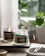 Two lit scented candles in glass jars are placed on a wooden tray. The labels read 'Pine Forest' and 'Firewood Figs'. In the foreground is a speckled ceramic bowl with spent matchsticks. The background shows blurred green potted plants and soft natural lighting, creating a cozy atmosphere.