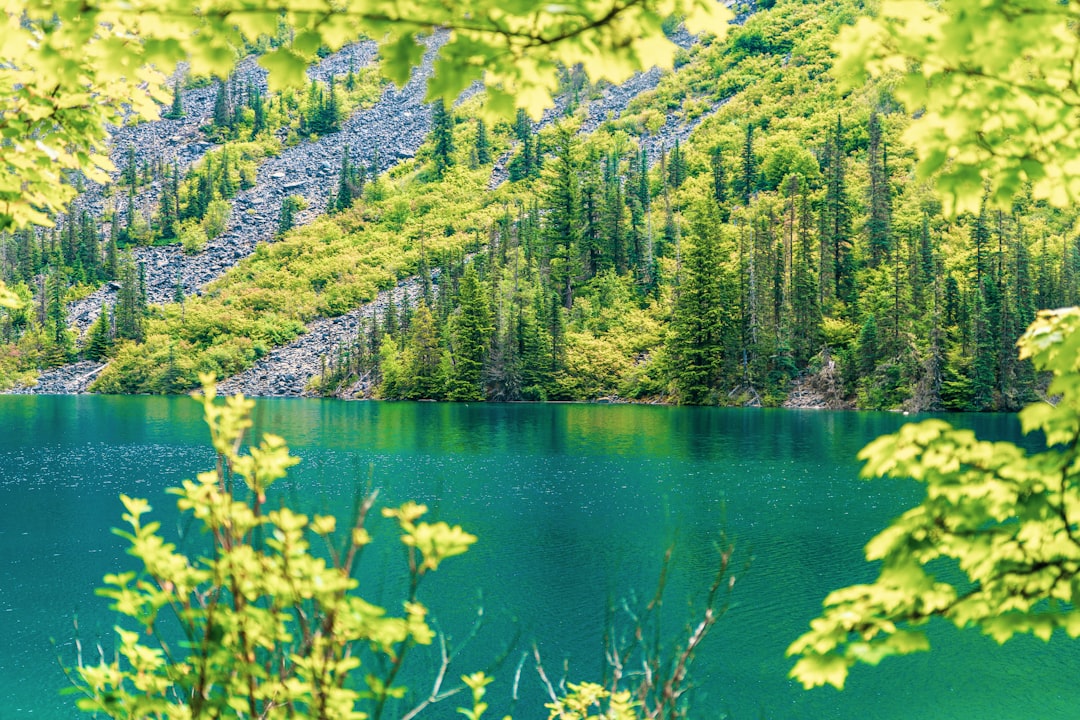 Nature reserve photo spot Lindeman Lake Chilliwack Lake Provincial Park