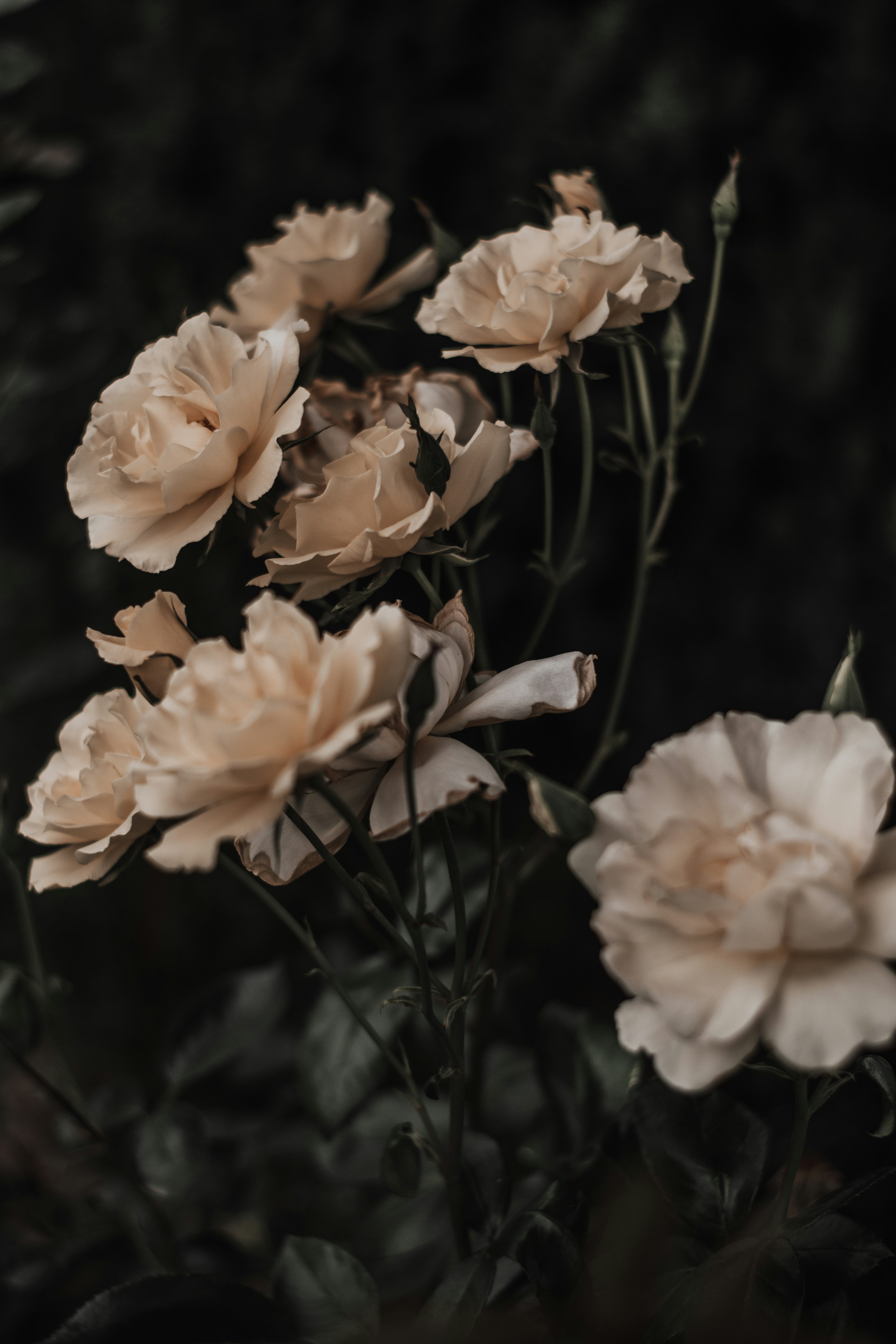 Photo by roxanamaria