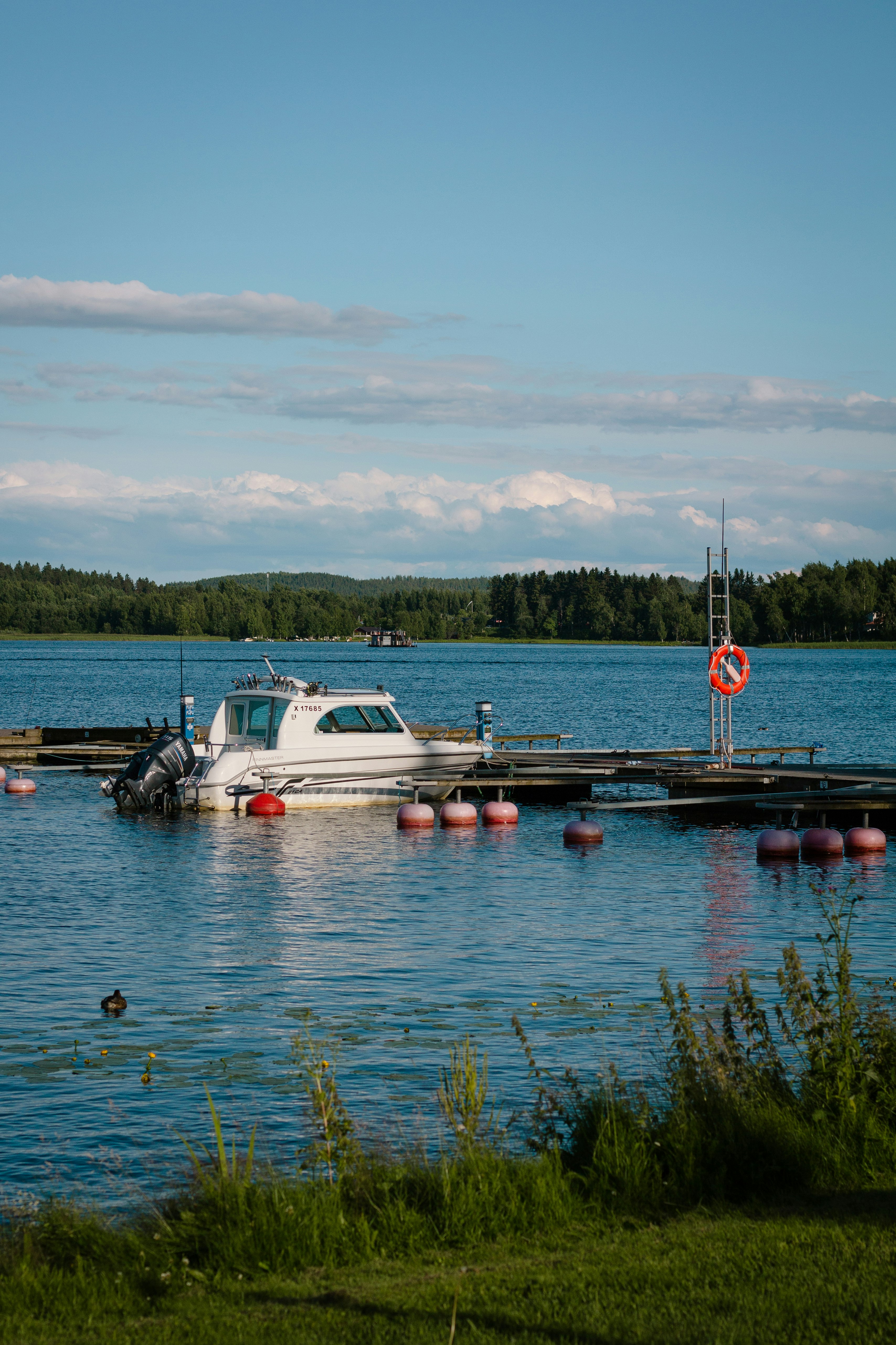 white and black boat on water during daytime