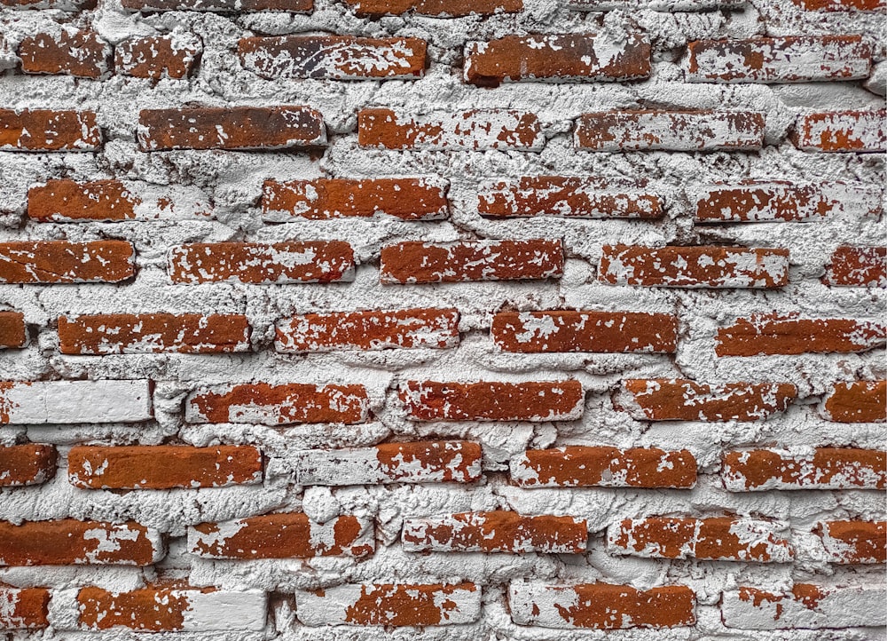 brown and white brick wall