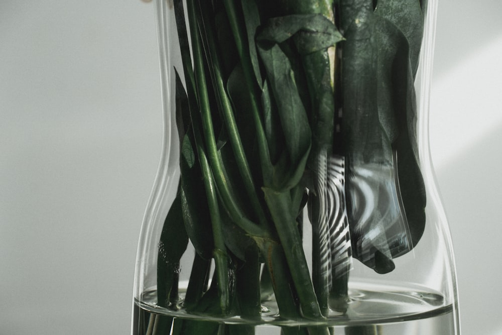 ガラスの花瓶に生けられた緑の植物