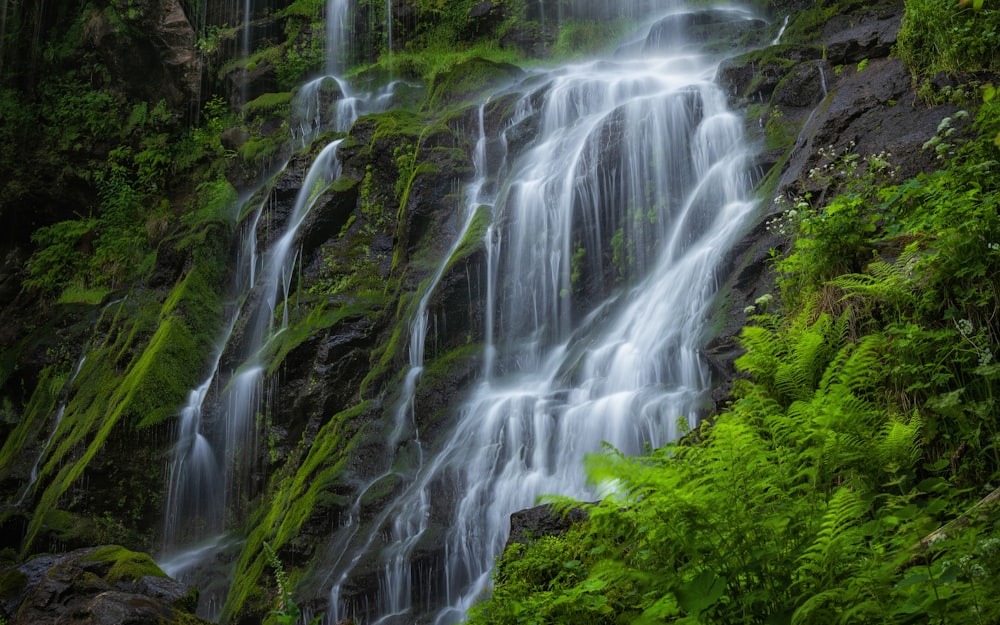 El agua cae en medio de un campo de hierba verde