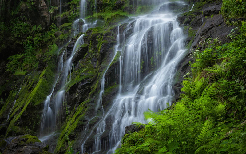Nature category cover