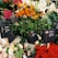 A variety of colorful flower bouquets arranged together prominently. Several types of flowers including red roses, white lilies, orange Birds of Paradise, and pink and red flowers are visible. Black price tags with the label 'Smycka' and prices in Rp currency are placed among the flowers.