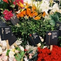 Photo 1595065827828 E1d07ff5c8fa?q=85&w=120&h=190&fit=crop