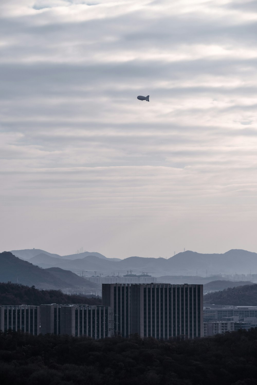 black bird flying over the city during daytime