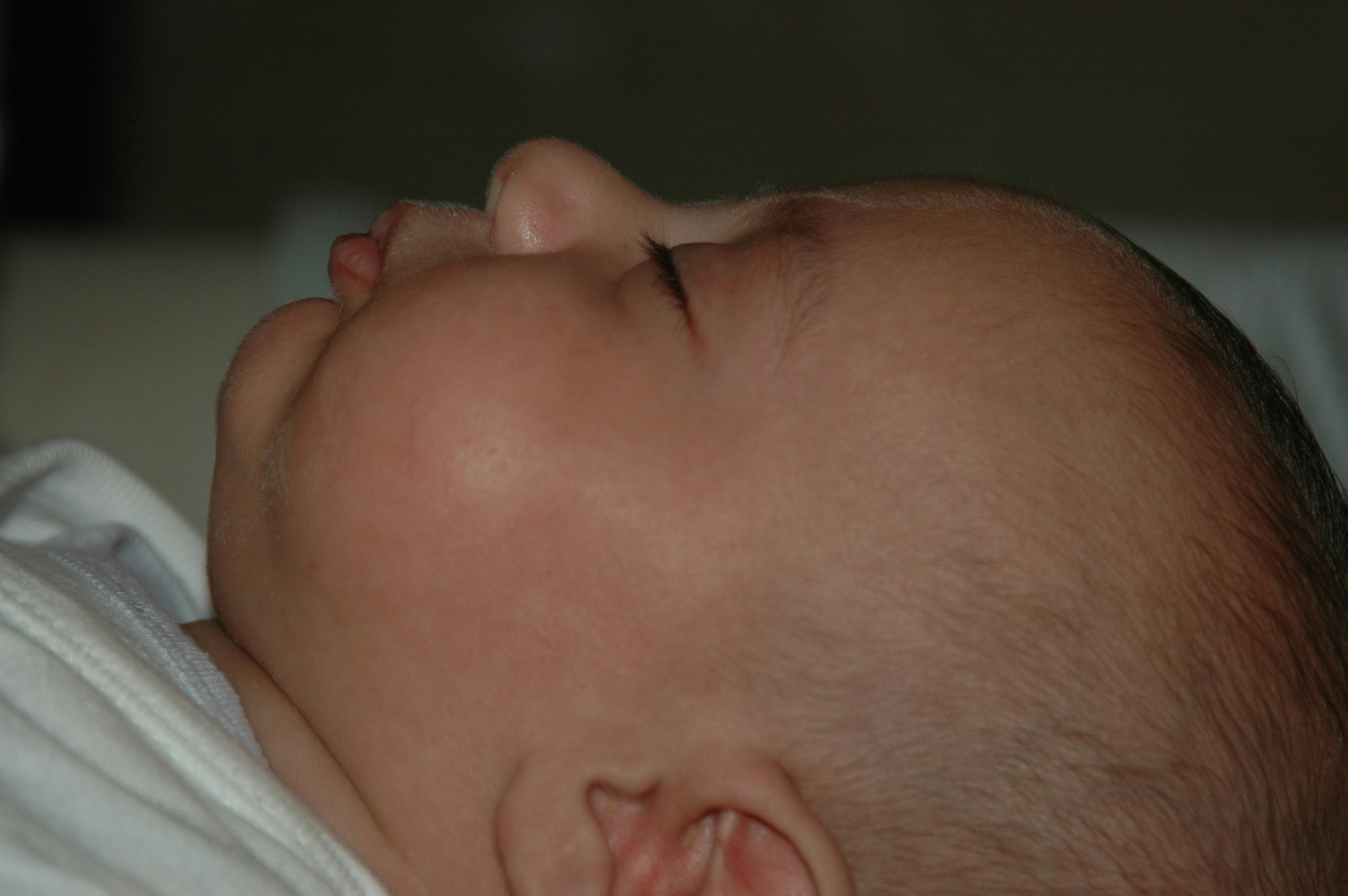 photo 1595066546525 f220bfa8c428?ixlib=rb 4.0