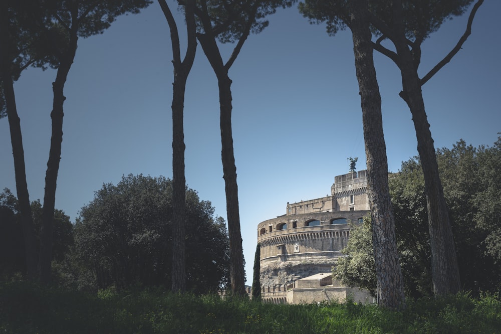 Un edificio circondato da alberi in una giornata di sole