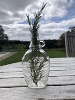 Elegant bottle of rosmarin-alkohol für die haut with fresh rosemary sprigs beside it.