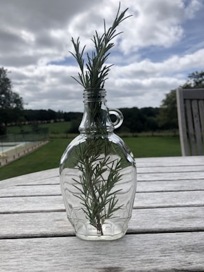 Close-up of amber rosemary essential oil bottle surrounded by fresh rosemary sprigs in sunlight