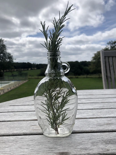 Close-up of fresh rosemary sprigs resting beside elegant amber glass skincare bottles on a wooden surface.