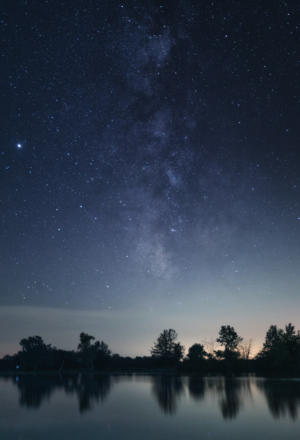 silhouette of trees under starry night