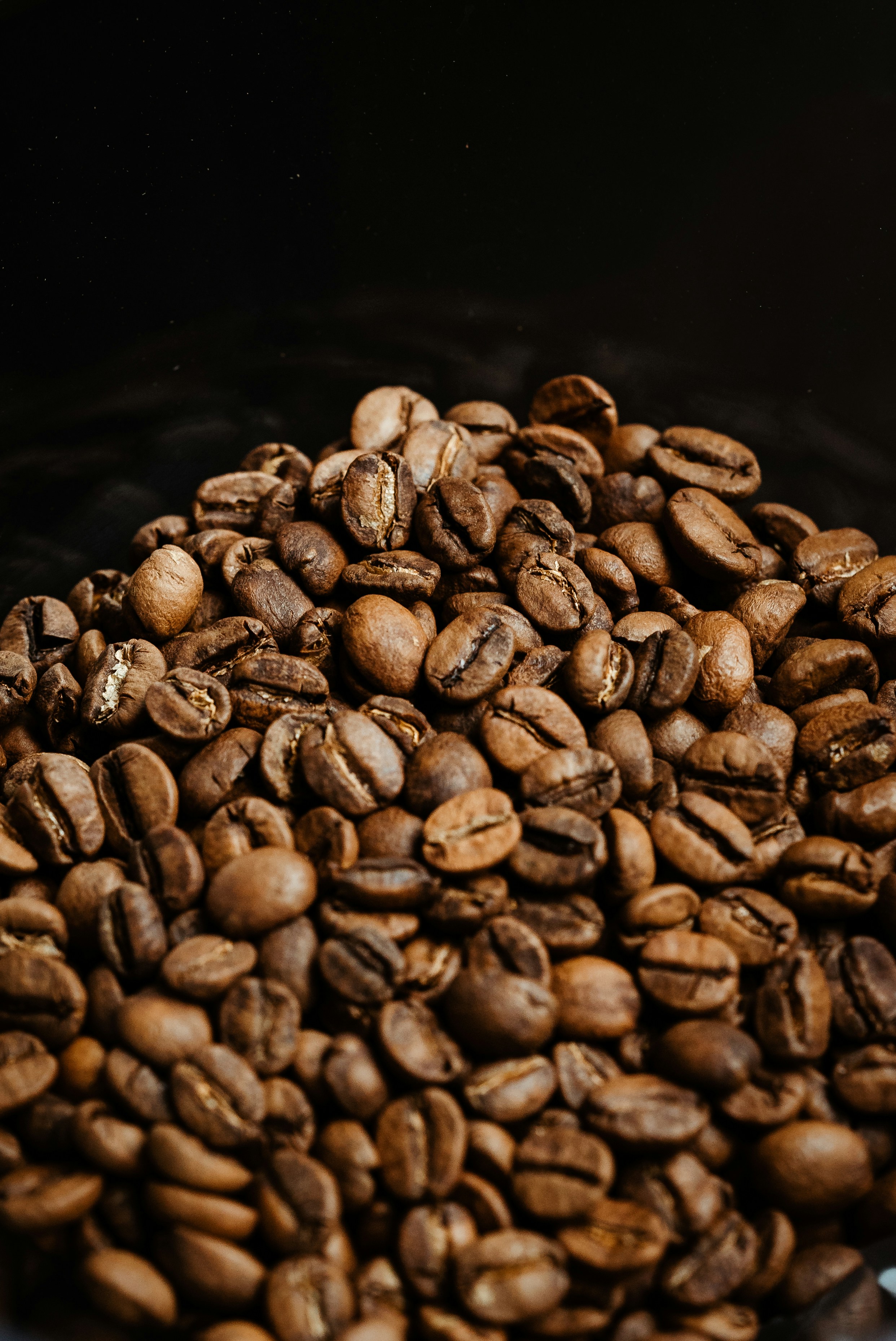 coffee beans on black ceramic bowl
