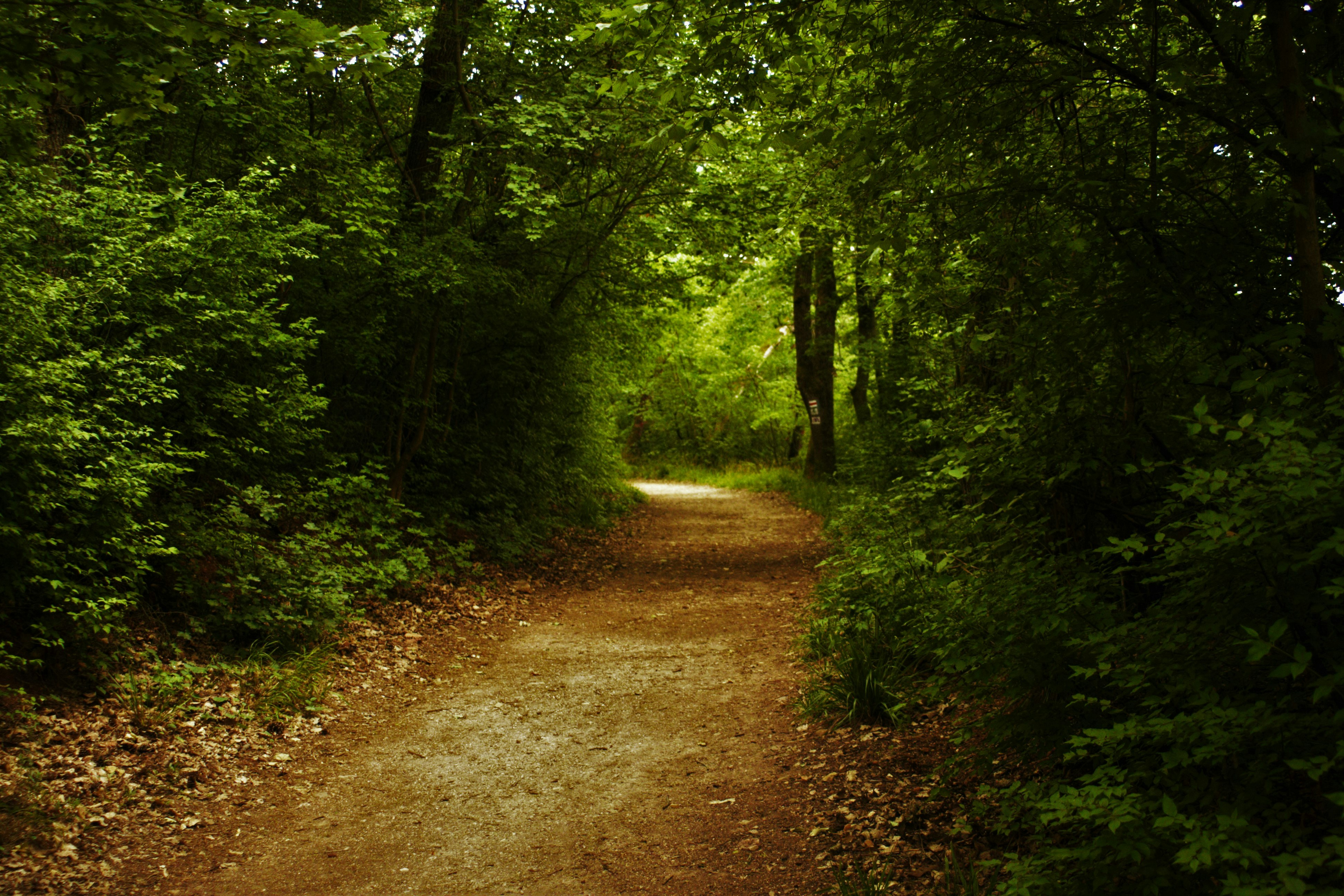 Photo by ruckel_daniel