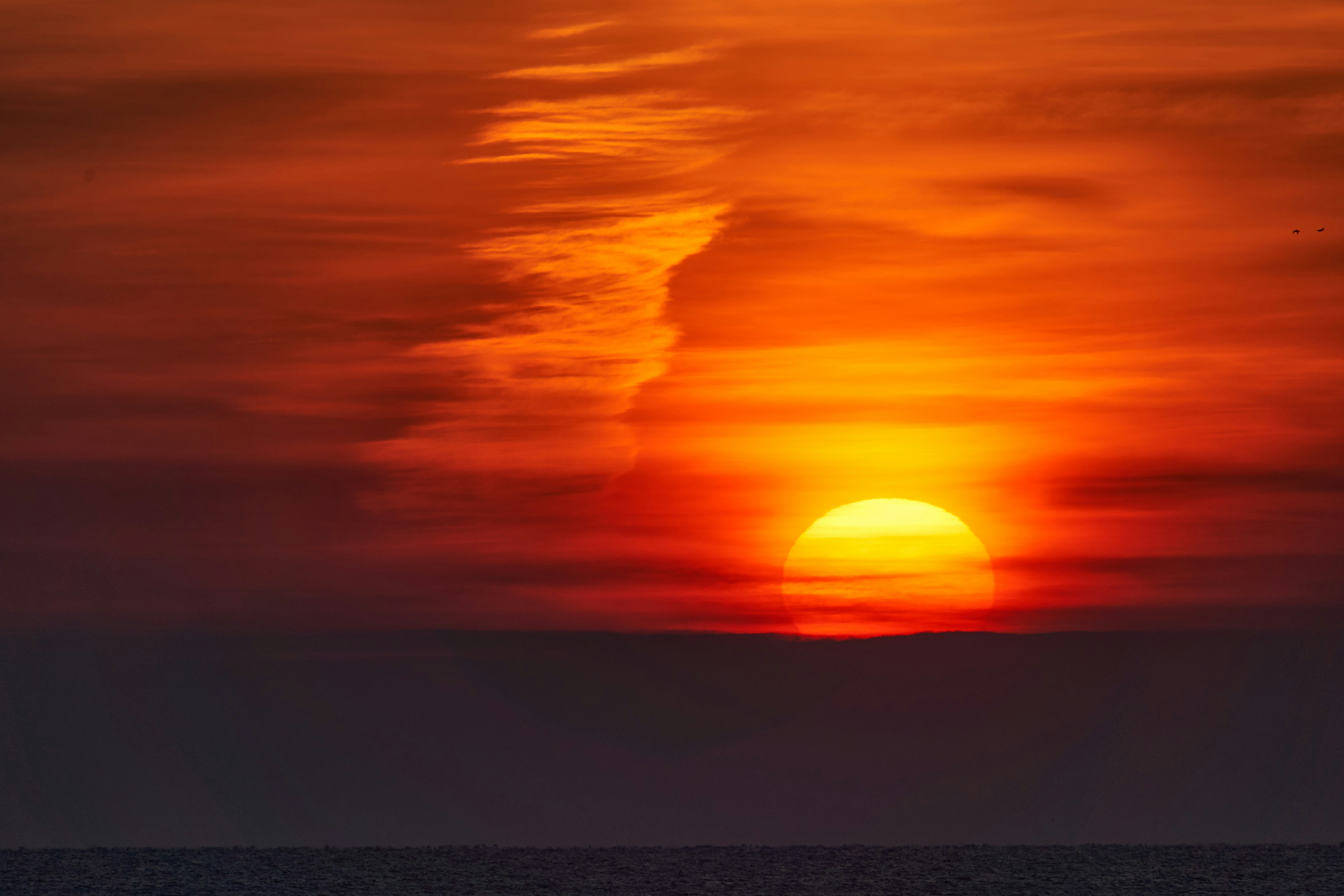 Photo by wolfgang_hasselmann